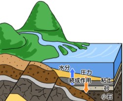 堆積岩